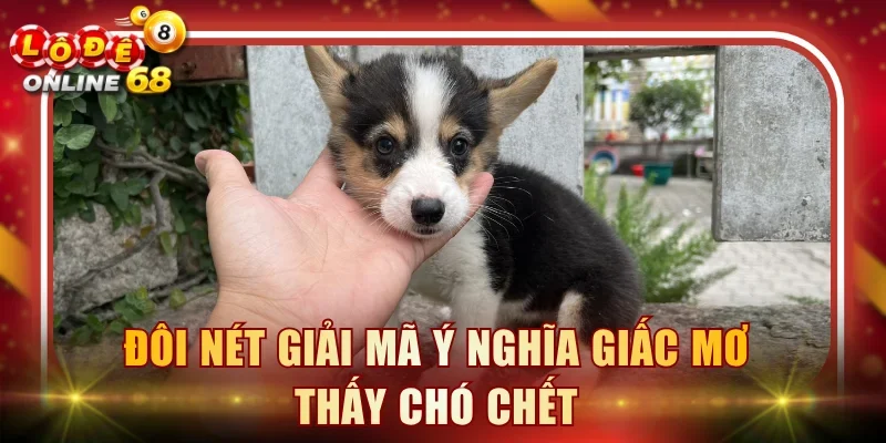 Đôi nét giải mã ý nghĩa giấc mơ thấy chó chết