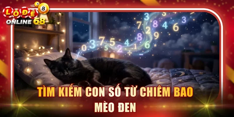 Tìm kiếm con số từ chiêm bao mèo đen