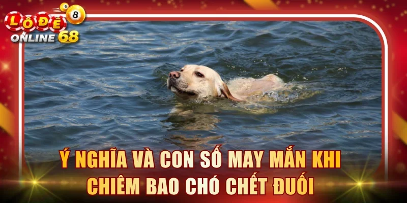 Ý nghĩa và con số may mắn khi chiêm bao chó chết đuối